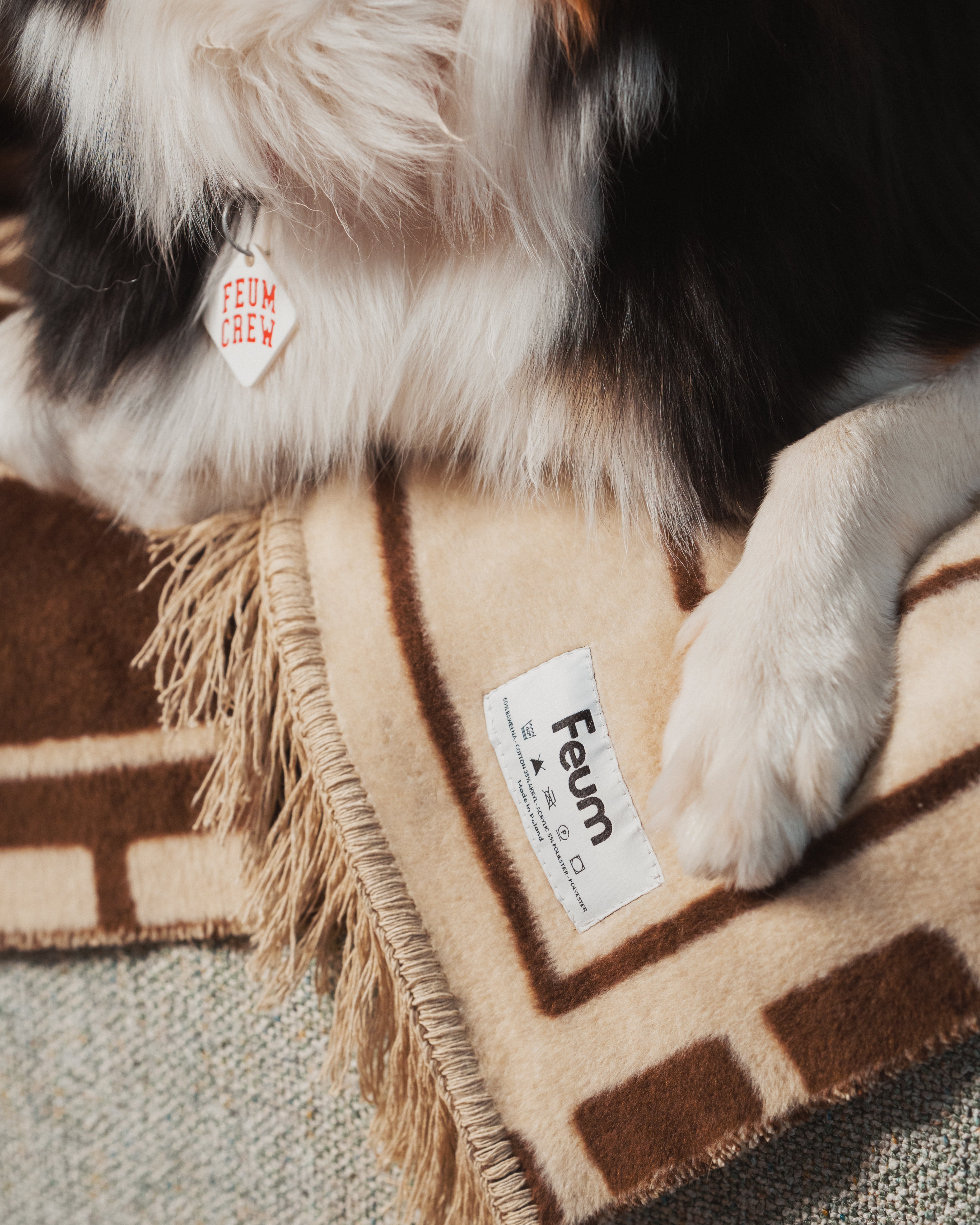 Pawfect Throw