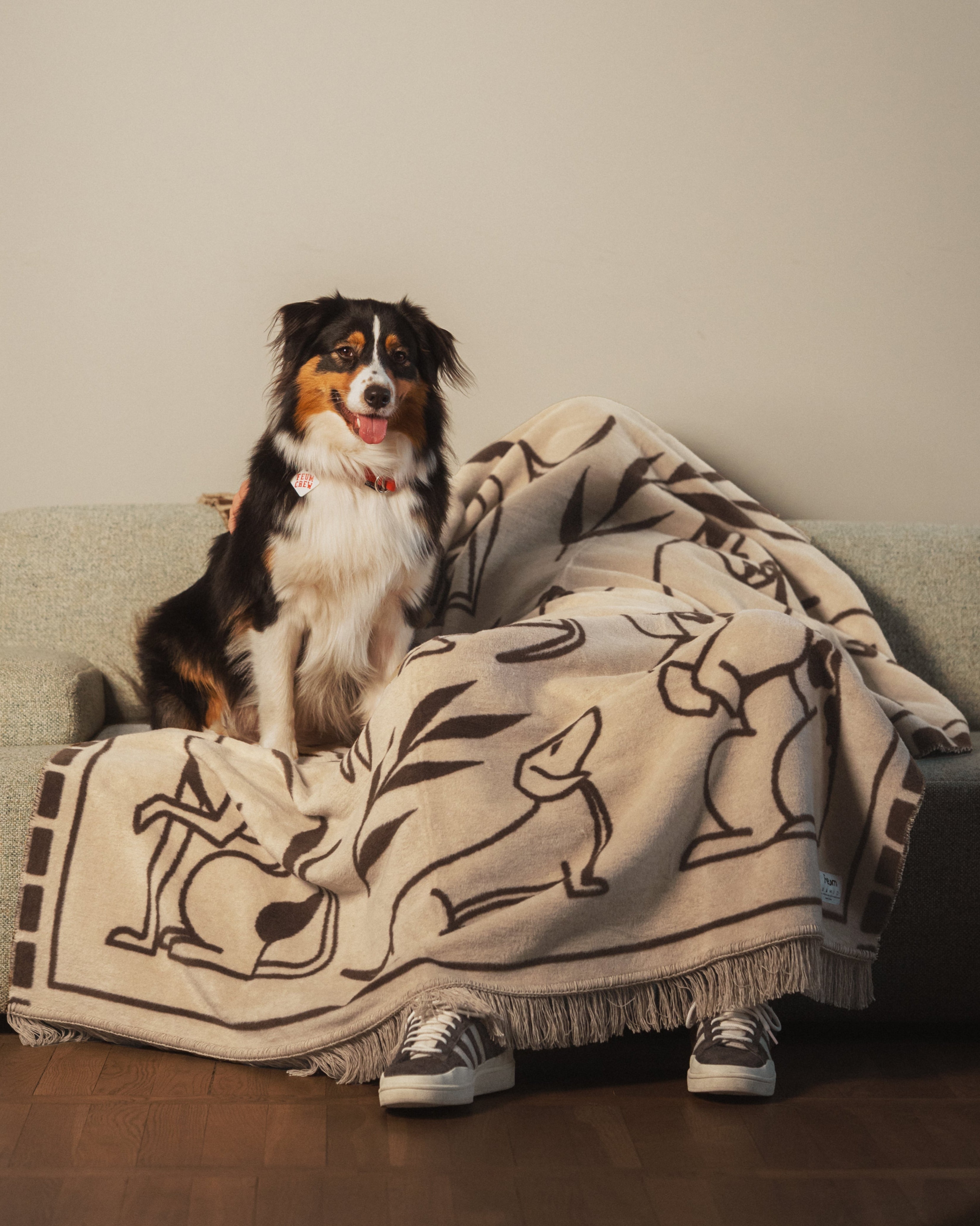 Pawfect Throw