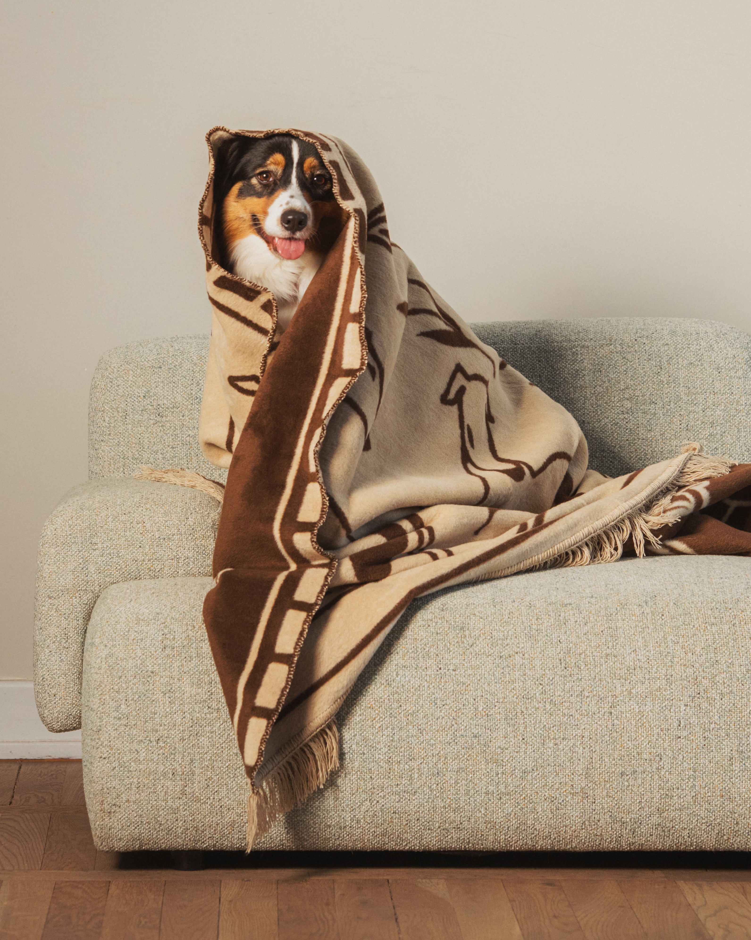 Pawfect Throw