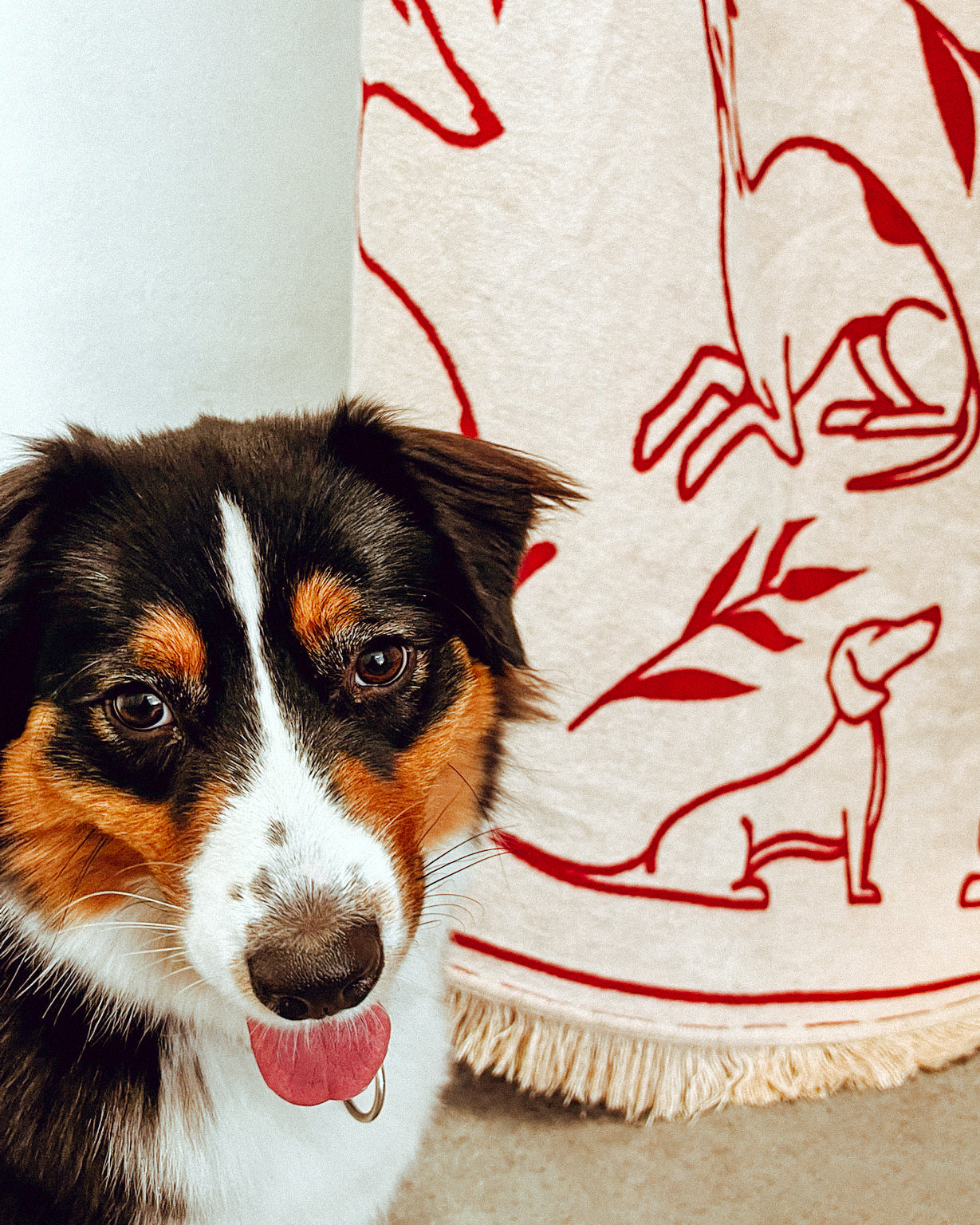 Pawfect Throw
