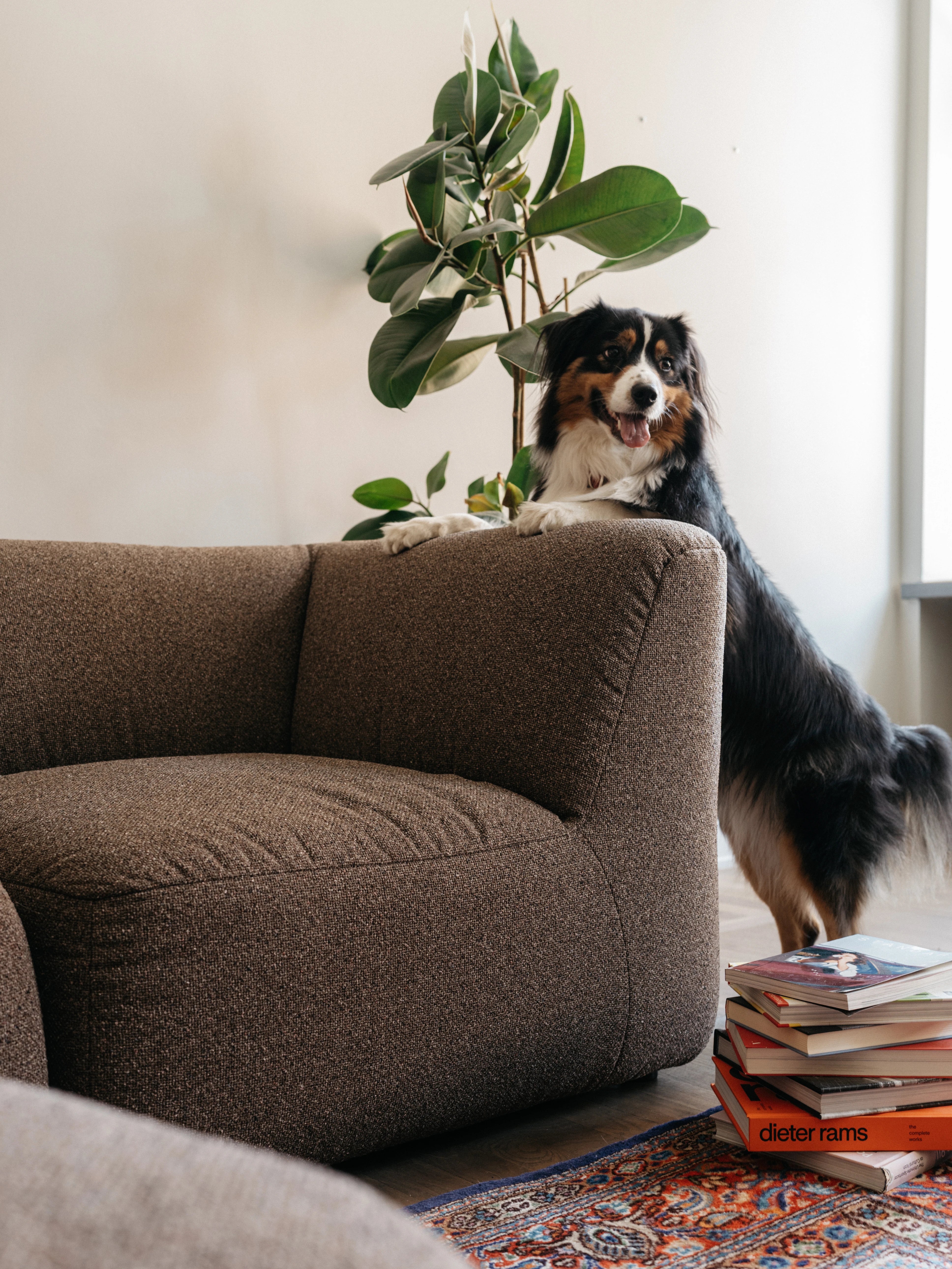 Modular Sofa Noku 2-seater
