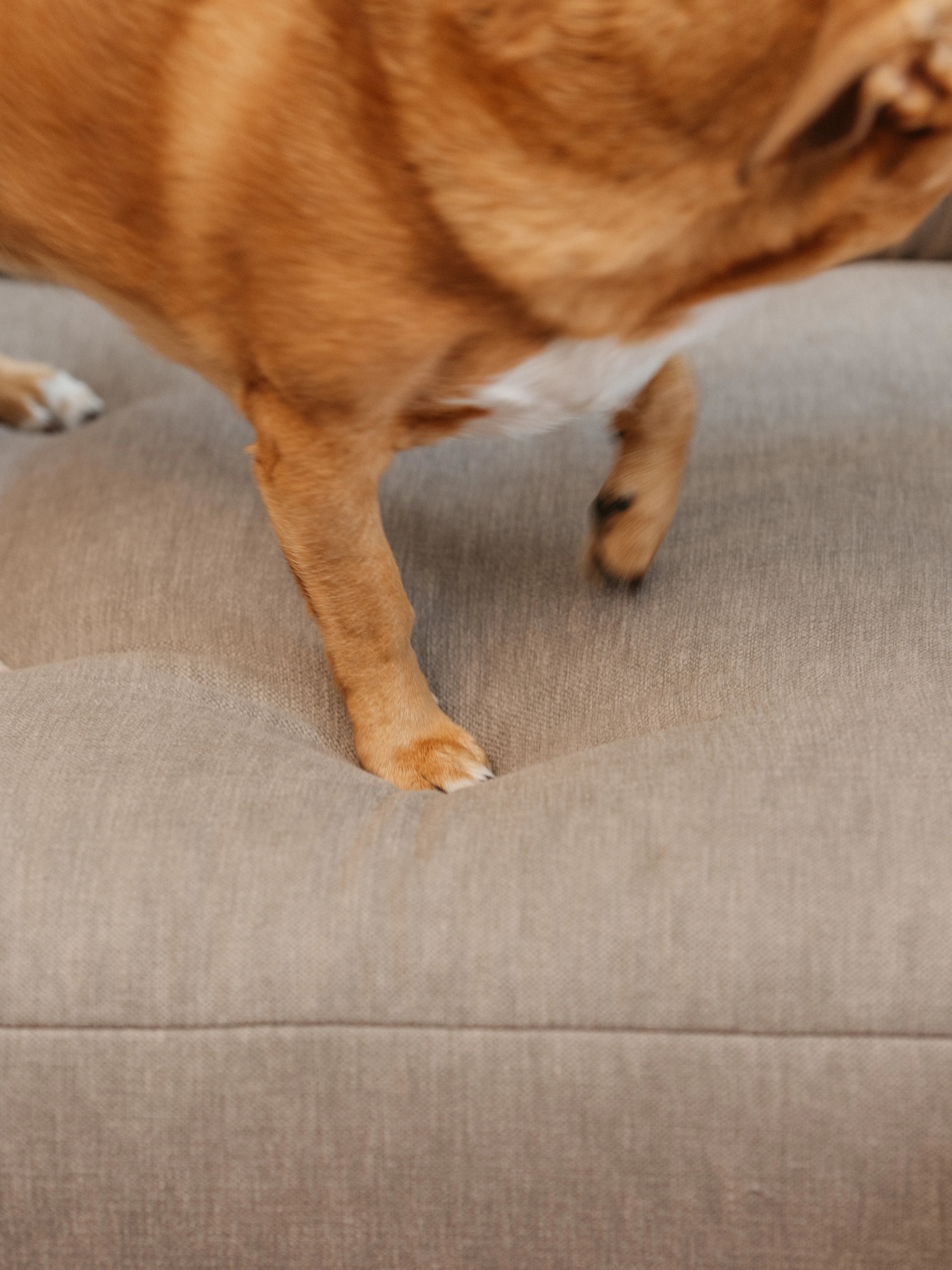 Modular Sofa Noku 2-seater